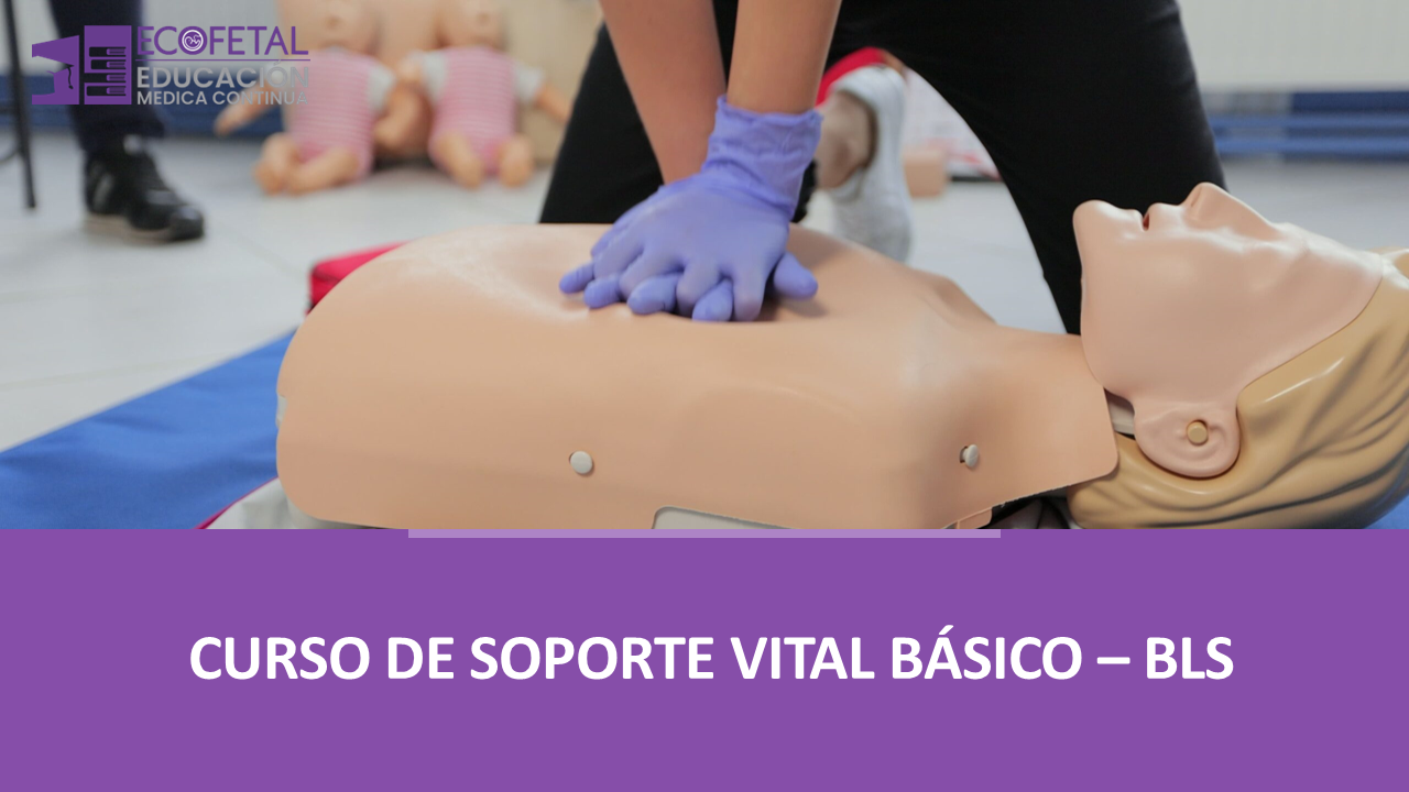 Curso de Soporte Vital Básico